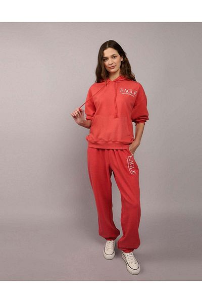 AMERICAN EAGLE Ae Logo Graphic Hoodie
