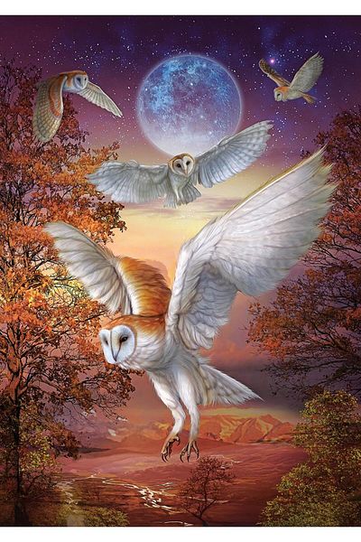 Art Puzzle Moonlight Owls 1000 Piece Puzzle