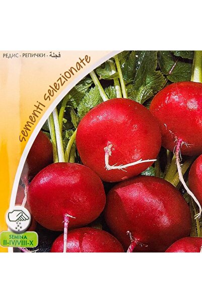 AKDC Radish Seeds Brown
