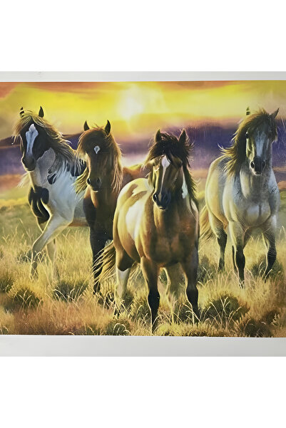 EleganTShoP 5D Yapışan Boncuk Goblen Mozaik Tablo Pano 40 x 50 cm 76509