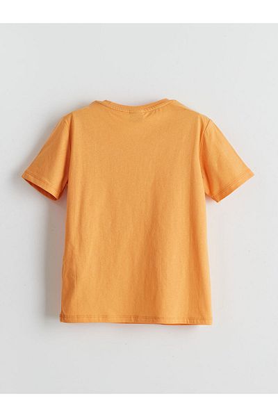 LC Waikiki Crew Neck Boy's T-Shirt