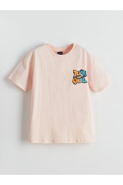 LC Waikiki Crew Neck Boy's T-Shirt