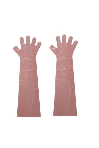 QBR Home 90 cm Long Nylon Gloves (Pack of 10)