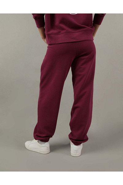 AMERICAN EAGLE AE Graphic Baggy Jogger