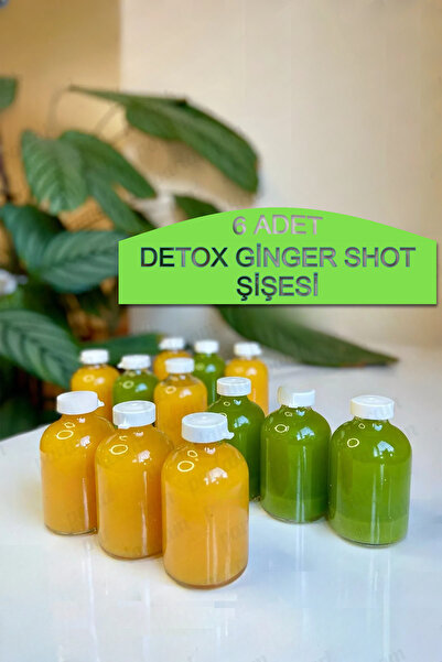 VİGENTİNO Round Cam Ginger Shot Detox Şişesi Sızdırmaz Plastik Kapaklı Çok Am...