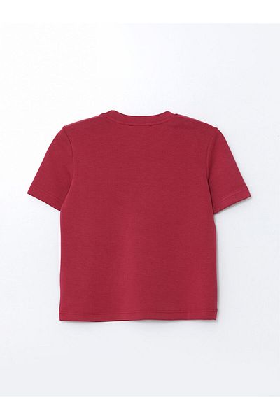 LC Waikiki Lcw Vision Burgundy Crew Neck Modal Blend Women's T-Shirt