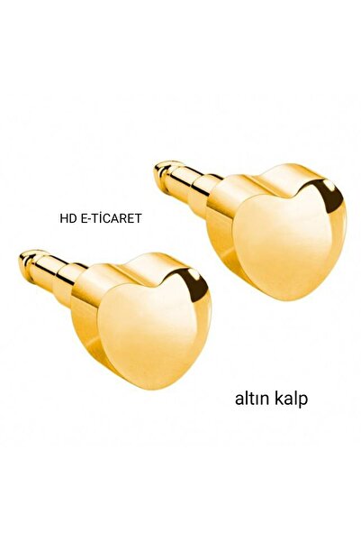 nina Altın Kalp Kulak Delme Küpesi 1 Çift