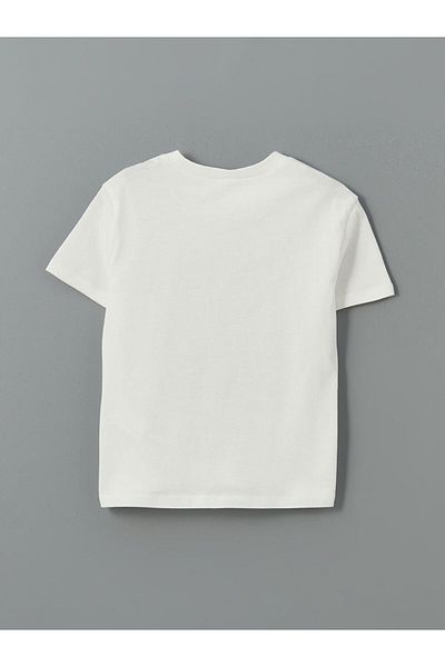 LC Waikiki Lcw Crew Neck Printed Boys' T-Shirt
