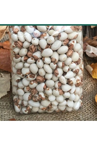 TacirDepo Geleneksel Ata Tohumları Empirme Sırık  Fasulye Tohumu (10 tohum