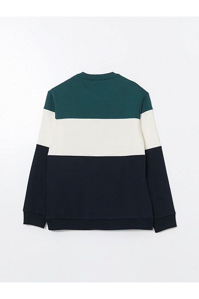 LC Waikiki Ανδρικό φούτερ SOUTHBLUE Green Crew Neck Color Block