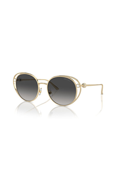 Jimmy Choo 0Jc4003Hb 30068g 53 Women's Sunglasses