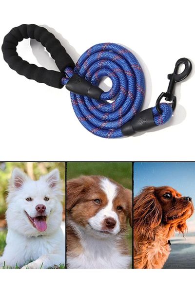Busstier Dog Walking Stone with Reflector - 150 cm Nylon, Medium and Large Breeds for Cold Cattle