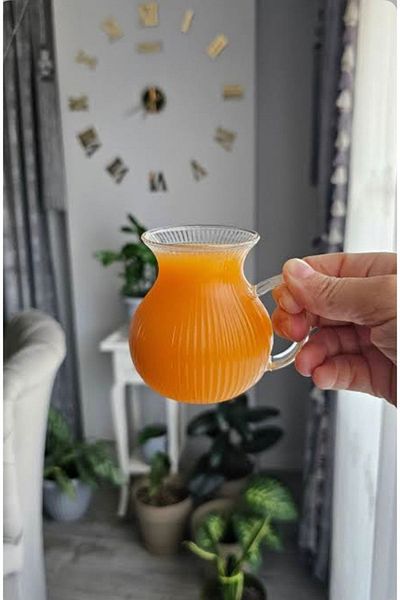 Mirilliahome 6-Piece Arbitrary Ala Striped Borosilicate Glass Tea Cup with Handle 220ml Cup
