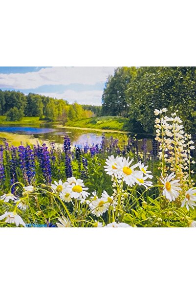 EleganTShoP 5D Yapışan Boncuk Goblen 40 x 50 cm Mozaik Tablo Pano 77468