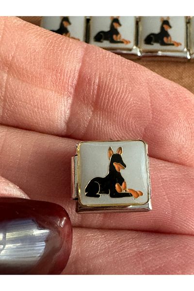 Vaveyla Italian Steel Bracelet Charm