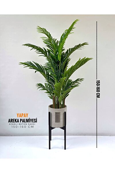 Silis Yapay Areka palmiyesi yüksek kalite orta boy + ayaklı beton saskı 150-160 cm