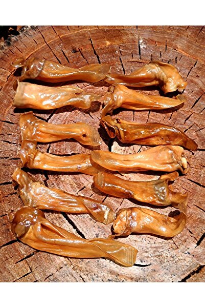 Prochef 250 Gr Kurutulmuş Kuzu Kulak ( Köpek Kemiği & Ödül Maması )