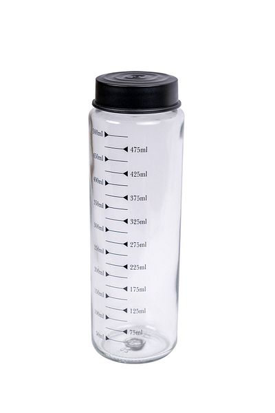 Hane Dostu 550 ml Scale Patterned Waterfresh Glass Bottle - Water Bottle and Sports Water Bottle