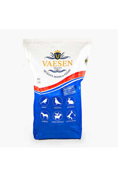 Dmcpetstore VAESEN 4S2 ÜRETİCİ MUHABBET KUŞ YEMİ 1 KG