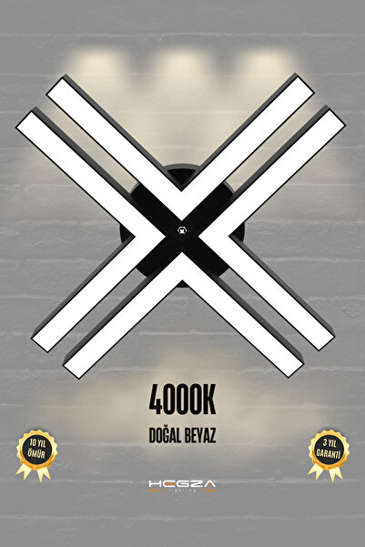 Hegza Lighting Timon ( Siyah Kasa, Doğal Beyaz Işık ) Modern Plafonyer Led Av...