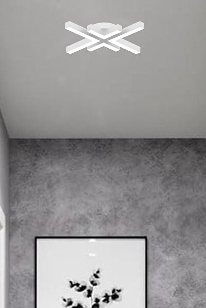 Hegza Lighting Arana ( Beyaz Kasa, Beyaz Işık ) Ledli Modern Plafonyer Led Avize, Salon, Mutfak, Oturma Odası