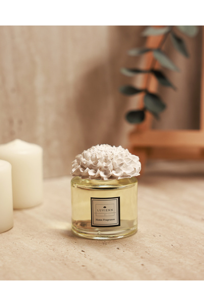 Luvienn 100 cc Beyaz Seramik Skulent Taşlı Toy2 Oda Kokusu-Sakız Kokusu