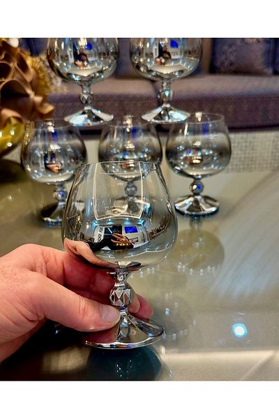 Vakıf home Bohemia Crystal Titanium Silver Footed Coffee Side Water Glass 250 Cc