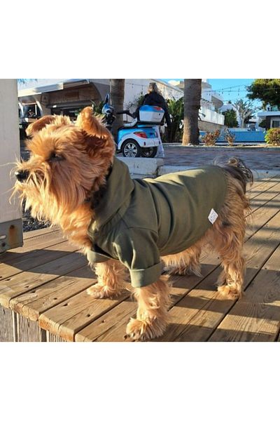 Oli and Lui Military Green Dog Raincoat