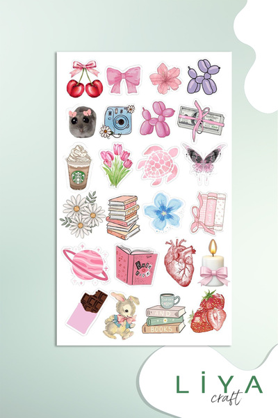 LiyaCraft Pempe Temalı Sticker Sevimli  Set Ajanda Bullet Journal Için Uygun Set
