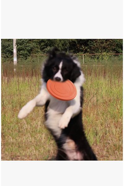 ARDSU Silicone Dog Frisbee for Training
