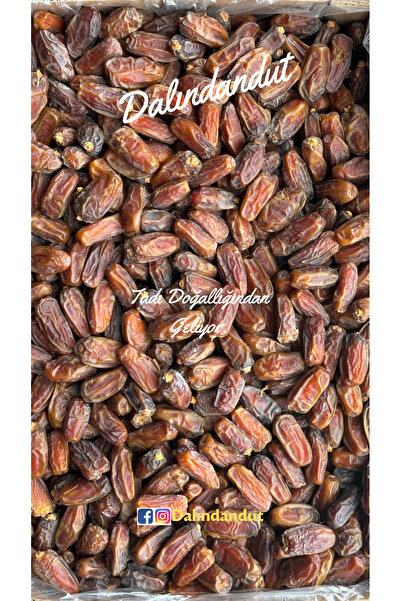 Dalındandut Yeni Mahsul Doğal Organik Medine Hurması (Mebrum) 500 gr