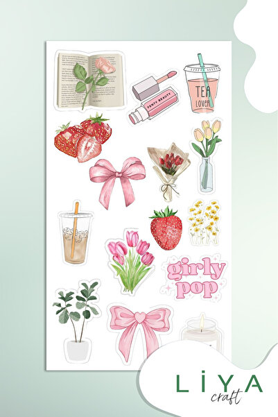 LiyaCraft Pempe Temalı Sticker Sevimli Girl Pop Set Ajanda Bullet Journal Içi...