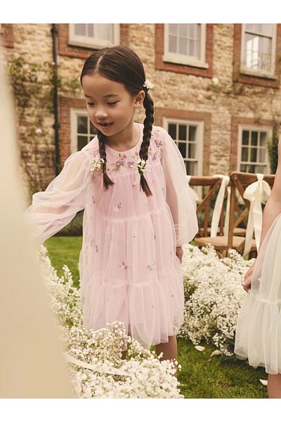 Next Baby Pink - Embroidered - Long Sleeve Tulle Mesh Party Dress