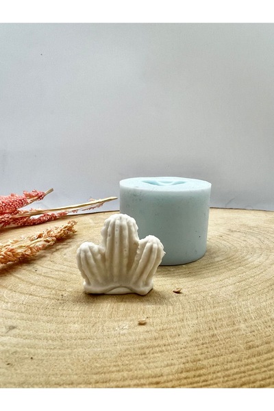 WAMMOLDS Üçlü Minik Kaktüs Silikon Kalıp