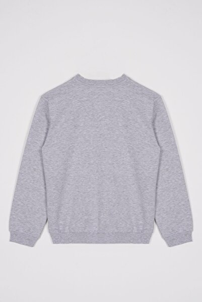 zepkids Φούτερ για αγόρι με μακρυμάνικο γράμμα με λαιμόκοψη σε γκρι χρώμα