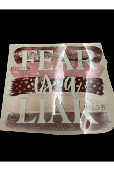 BİGÜMEX DTF Baskı Arma Yama Etiket, Ütü ile Yapışan Tişört Tekstil Transfer B...