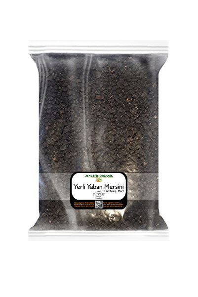 Zencefil Organik Yerli Yaban Mersini Kurusu 1 Kg. Hableş Mersin Murt