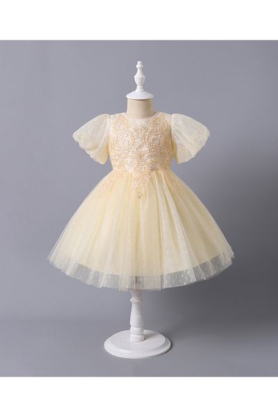Mark & Mia Mark & Mia Embroidered Party Dress - Champagne