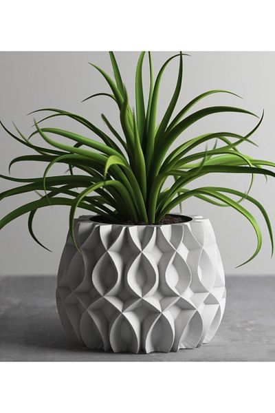 3D Brothers Elegant Modern Floral Container