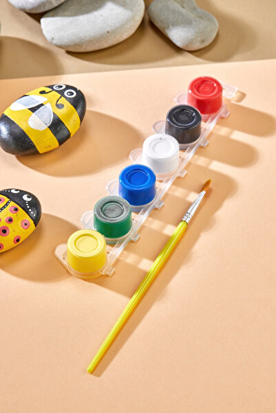 TOTTERİQ Taş Boyama Seti (6 Renk Akrilik Boya-Fırça Aktivite Seti)