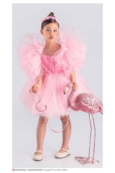 RAPAPA Girl's Tutu Skirt, Puffy Sleeves, Komotini Crown Evening Dress Pudra