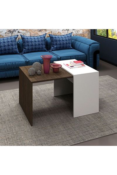 Danube Home Theo Coffee Table  L90xW63.2xH52.5cm - Walnut/White