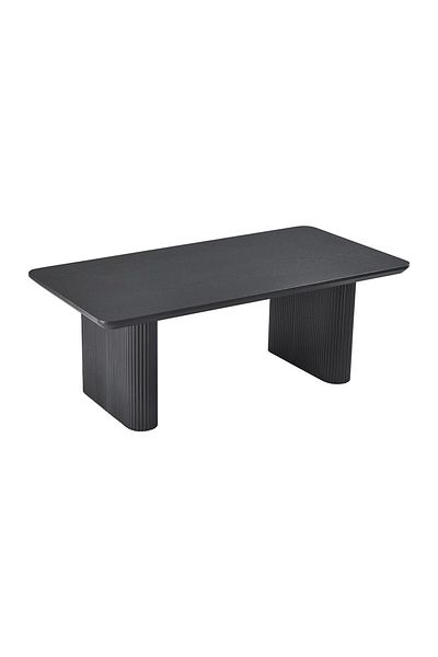 Danube Home Tierra Centre Table  L120xW60xH45cm - Black