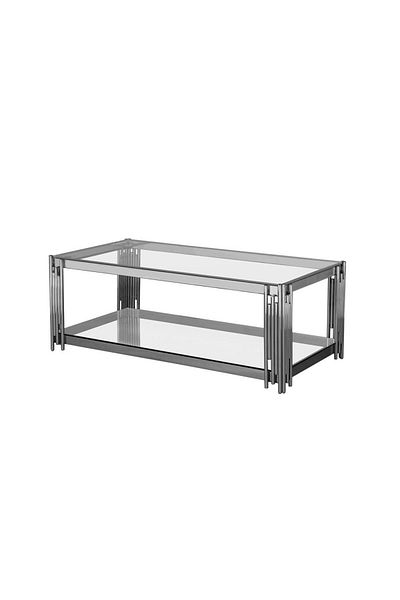 Danube Home Naill Coffee Table  L120xW60xH42cm - Stainless Steel