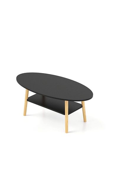 Danube Home Freya Coffee Table – Black L100xW50xH42cm - Black