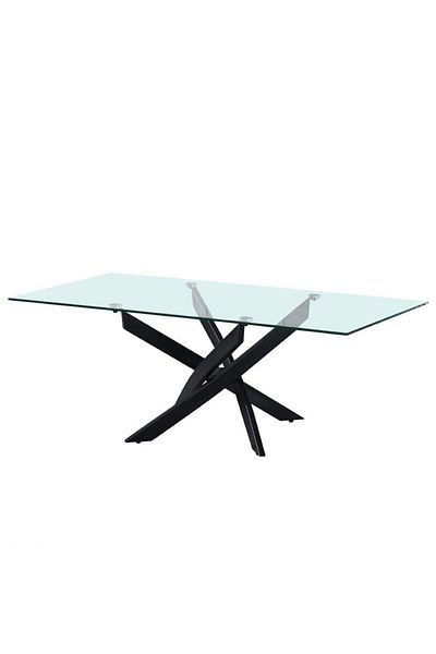 Danube Home Leonardo Coffee Table L120xW60xH45cm - Glass / Powder Coated Black