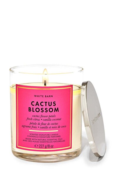Bath & Body Works شمعة بفتيلة واحدة من Cactus Blossom Signature