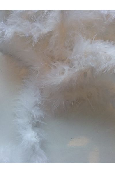 Hobigram White Dress Ornament Packaging Feather Fine Otrish Feather 2 Meters Bird Feather Fine Otrish