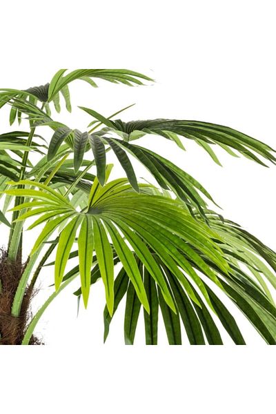 Atmosphera Easy Maintenance Realistic Looking Decorative Artificial Palm Tree with Pot 180cm