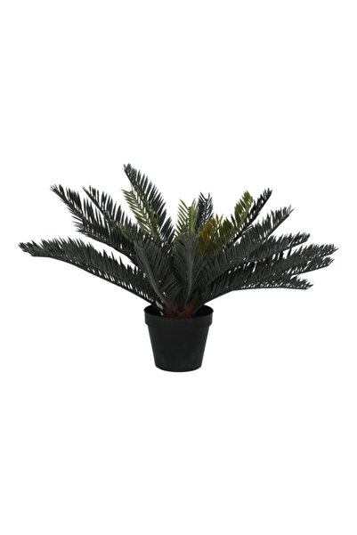 Dongli Artificial Cycad Plant with 24 Leaves